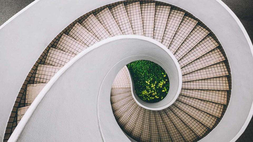 An overhead view of a spiral staircase with white walls and tiled steps. The center reveals greenery, indicating a garden or plants below.